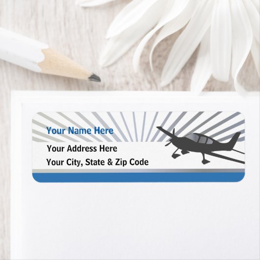 サーラスSR22 ラベル (インサイチュ)