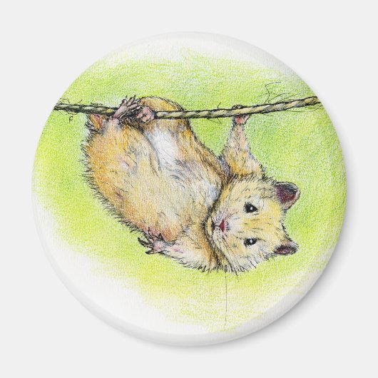 サー・ハム マグネット (正面)