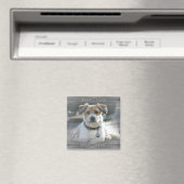 サー・ヘンリー マグネット (インサイチュ (食洗機))