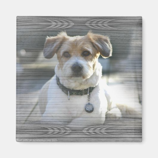 サー・ヘンリー マグネット (正面)