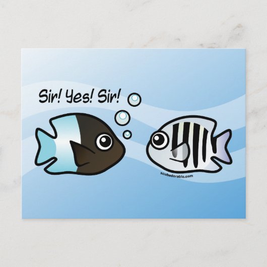 サー！Yes!サー！ ポストカード (正面)