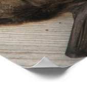 ザこうもりー来ファースト ポスター (角)