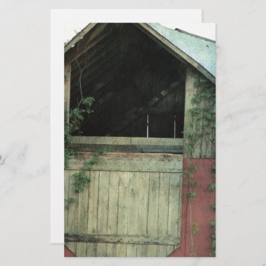 ザアイビーバーン (正面/裏面)