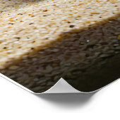 ザアクソロトルズアコード ポスター (角)