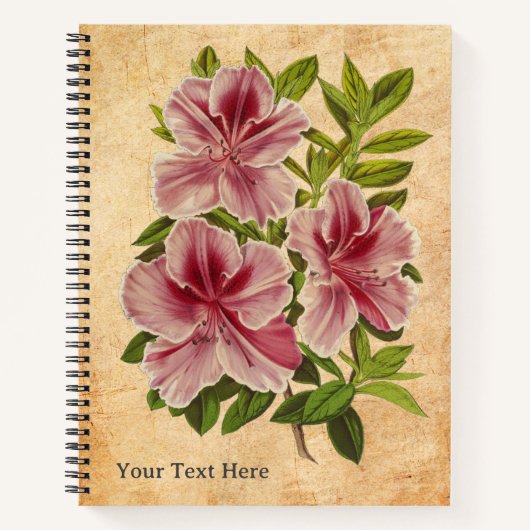 ザアザレアの秘密手帳 ノートブック (正面)