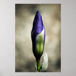 ザアターゲティング美しいプリント ポスター