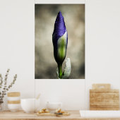 ザアターゲティング美しいプリント ポスター (キッチン)