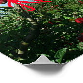 ザアップルオーチャード ポスター (角)