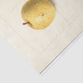 ザアップ失ったル  薄葉紙 (詳細)