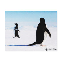 ザアデリーペンギンダンサーアンドフレンド