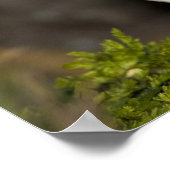 ザアトランティックパフィン ポスター (角)