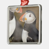 ザアトランティックパフィン メタルオーナメント (左)