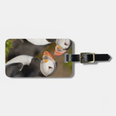 ザアトランティックパフィン ラゲッジタグ (正面横)