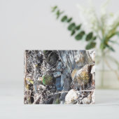 ザアパラチア山脈（バージニア） ポストカード (スタンド正面)