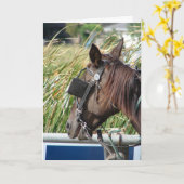 ザアミッシュの馬 カード (黄色い花)