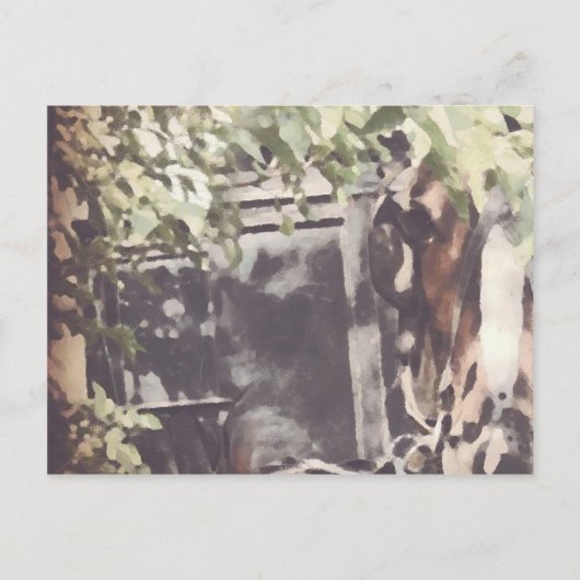 ザアミッシュの馬 ポストカード (正面)