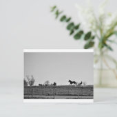 ザアミッシュ地方 ポストカード (スタンド正面)