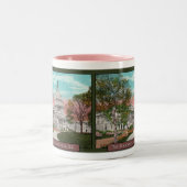 ザアメリカキャピトルヴィンテージコーヒーマグ ツートーンマグカップ (中央)