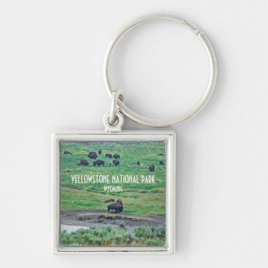 ザアメリカバイソン キーホルダー (正面)