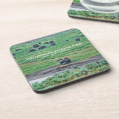 ザアメリカバイソン コースター (左側)