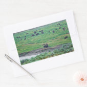 ザアメリカバイソン 長方形シール (封筒)