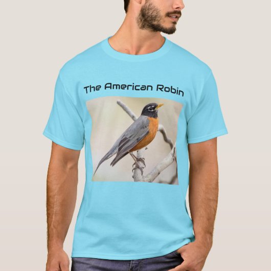 ザアメリカンロビン Tシャツ (正面)