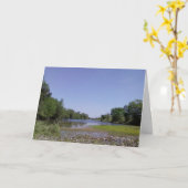 ザアメリカン・リバー・サクラメント カード (黄色い花)