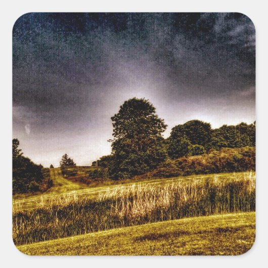 ザアメージングパーク スクエアシール (正面)