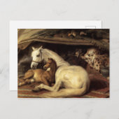 ザアラブテントエドウィンランドセル ポストカード (正面/裏面)