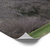 ザアワニー – ヨセミテ ポスター (角)