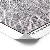 ザアンガス集団 – ブラックアンガスキャトル – テキサス州 ポスター (角)