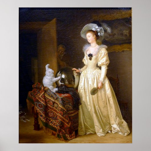 ザアンゴラ猫 ポスター (正面)