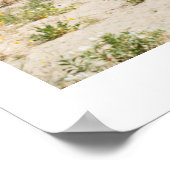 ザアンザボレゴ砂漠 ポスター (角)