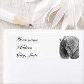 ザアンダルシア ラベル (インサイチュ)