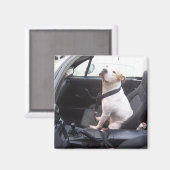 ザアンチマイケル・ヴィック マグネット (正面/裏面)