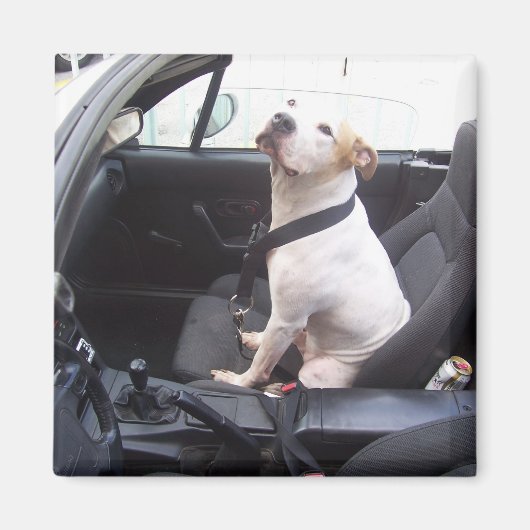 ザアンチマイケル・ヴィック マグネット (正面)