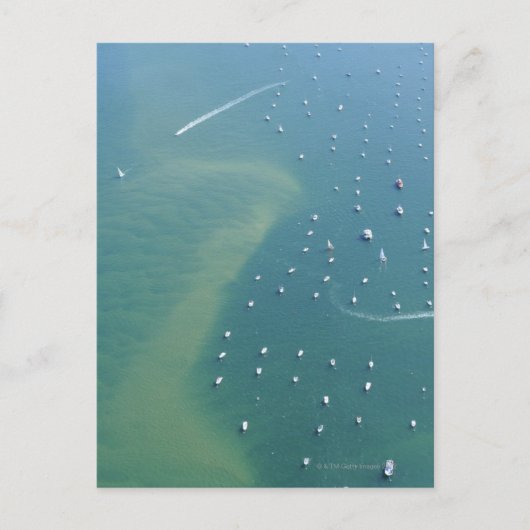 ザアーカチオンバッシンエントリ ポストカード (正面)