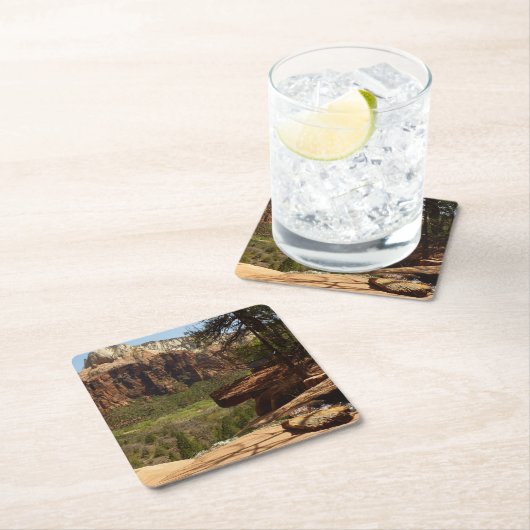 ザイオン国立公園のエメラルドプールの滝 スクエアペーパーコースター (インサイチュ)