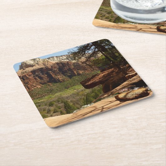 ザイオン国立公園のエメラルドプールの滝 スクエアペーパーコースター (アングル)