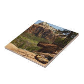 ザイオン国立公園のエメラルドプールの滝 タイル (側面)