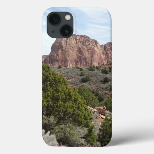 ザイオン国立公園のコロブキャニオン Case-Mate iPhoneケース (裏面)