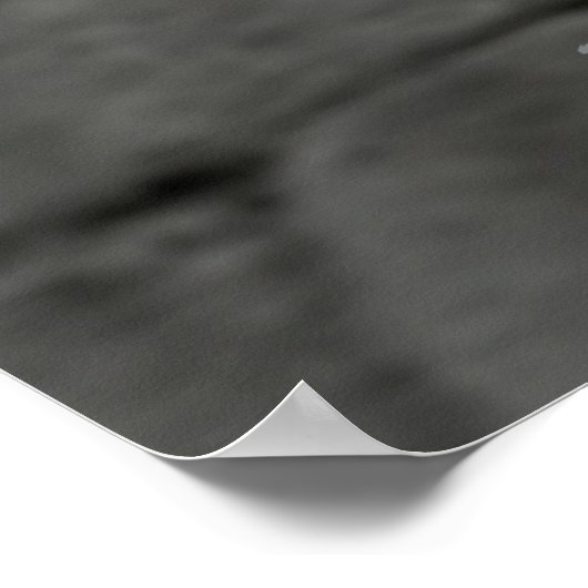 ザイリアド ポスター (角)