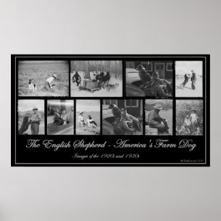 ザイングリッシュシェパード – アメリカズファームドッグ ポスター