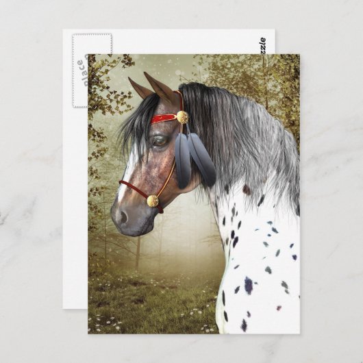 ザインディアンポニーポストカード ポストカード (正面/裏面)