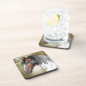 ザインディアンポニー コースター (右側)