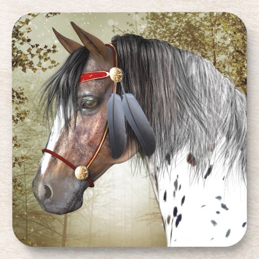 ザインディアンポニー コースター (正面)