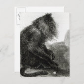 ザインディアンワデロモンキー ポストカード (正面/裏面)