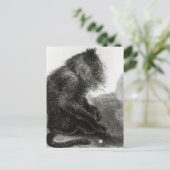 ザインディアンワデロモンキー ポストカード (スタンド正面)