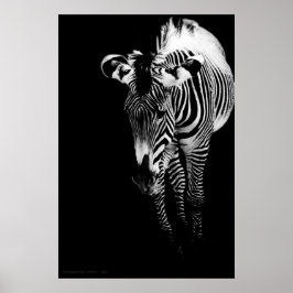 ザインペリアルワンプリント ポスター