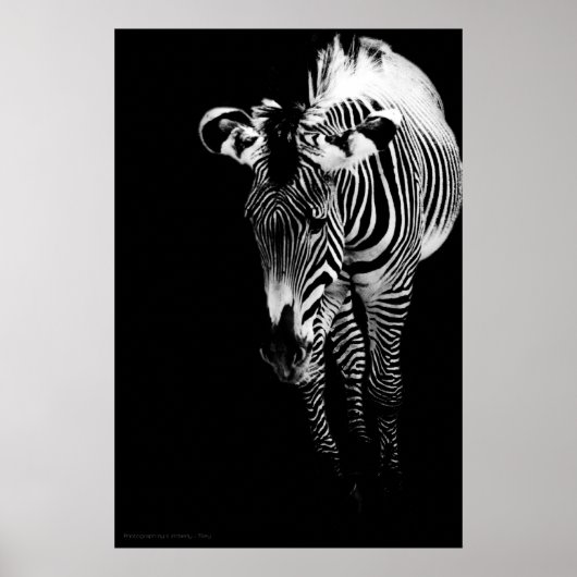 ザインペリアルワンプリント ポスター (正面)